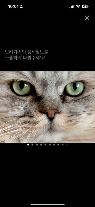 블랑님이 올린 리뷰 사진 2