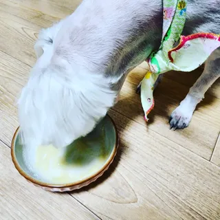 뿌꾸님이 올린 리뷰 사진 2