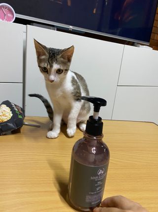 young2님이 올린 리뷰 사진 2
