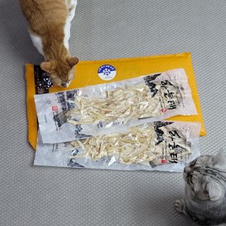 jenny님이 올린 리뷰 사진 2