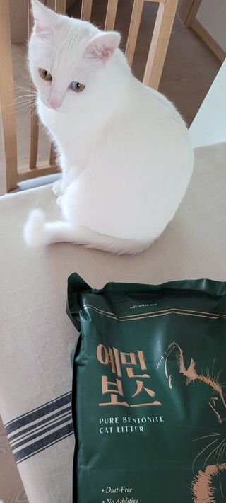 대박이님이 올린 리뷰 사진 1