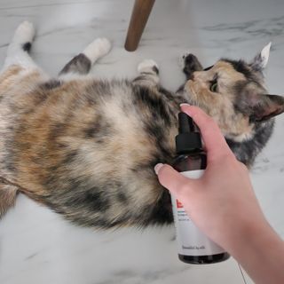 망구님이 올린 리뷰 사진 1