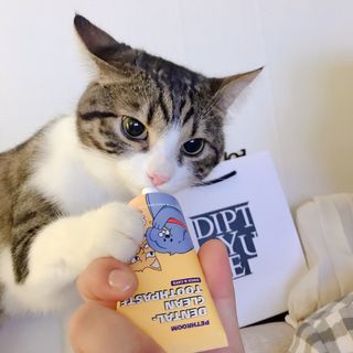Hpy님이 올린 리뷰 사진 3