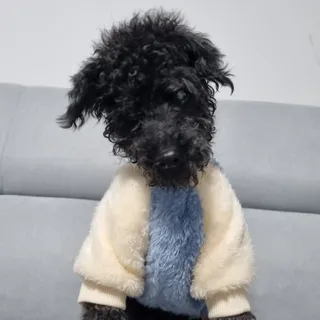 완두콩이님이 올린 리뷰 사진 4