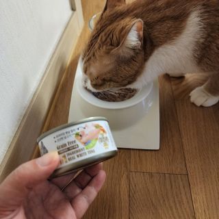 호야맘님이 올린 리뷰 사진 2