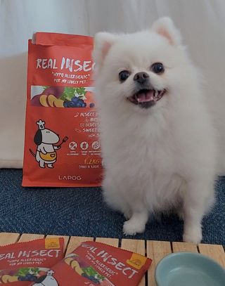꽃태희님이 올린 리뷰 사진 1