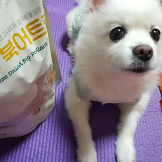 [펫시밀] 원물그대로 영양듬뿍 동결건조 왕북어트릿300g,왕치킨트릿400g,열빙어트릿300g 대용량 간식 — 4점을 준 리뷰어가 2023년 5월 올린 사용 사진