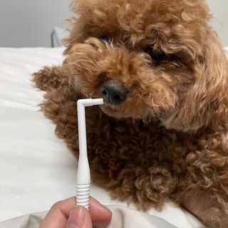 후추맘님이 올린 리뷰 사진 2