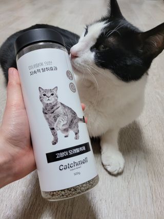 홍시님이 올린 리뷰 사진 1