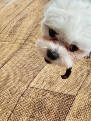angellappp님이 올린 리뷰 사진 3