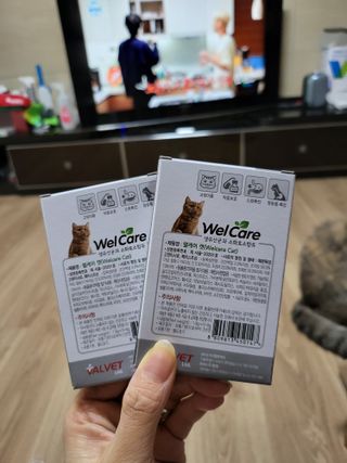 우동한그릇님이 올린 리뷰 사진 2
