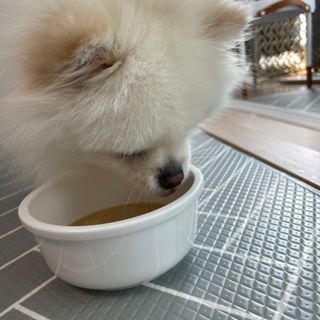 단미콘님이 올린 리뷰 사진 3