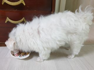뿅뿅가을님이 올린 리뷰 사진 3