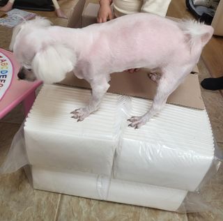 뾰로롱꼬마마녀님이 올린 리뷰 사진 2