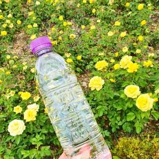 몽베스트 [MONTBEST]위드어스 500mL 20병 — 5점을 준 리뷰어가 2022년 6월 올린 사용 사진