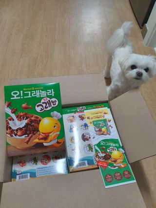 뽀오오옹님이 올린 리뷰 사진 1