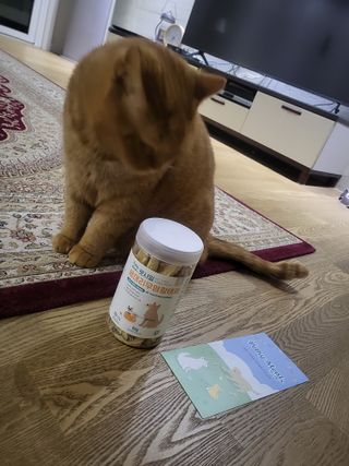 [펫시밀] 원물그대로 강원도 인제군 용대리 무염황태채 60g 강아지 고양이 프리미엄 수제간식 — 5점을 준 리뷰어가 2023년 11월 올린 사용 사진