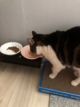 c1bzzvd5mkg님이 올린 리뷰 사진 4