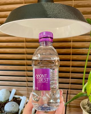 몽베스트 [MONTBEST] 330mL 20병 — 5점을 준 리뷰어가 2024년 3월 올린 사용 사진