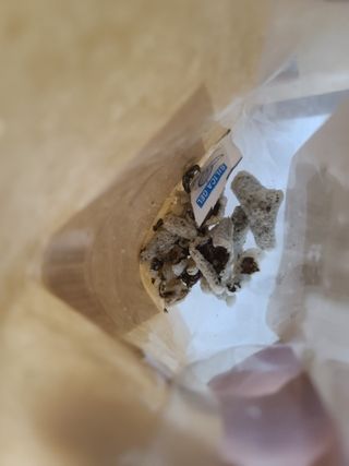 커피보고왔엄님이 올린 리뷰 사진 2
