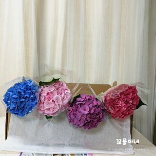 꼬물이님이 올린 리뷰 사진 1