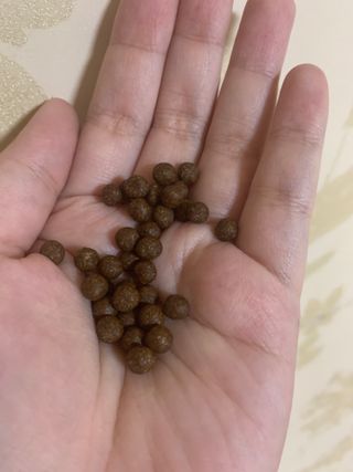 코끼리님이 올린 리뷰 사진 3