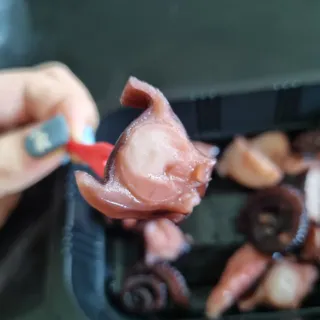 bibi님이 올린 리뷰 사진 3
