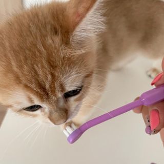 루하님이 올린 리뷰 사진 4