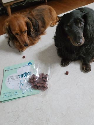 My Pet Care 천연단백질 눈건강에 개좋아 — 4점을 준 리뷰어가 2021년 2월 올린 사용 사진