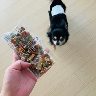 제나놀이터님이 올린 리뷰 사진 4