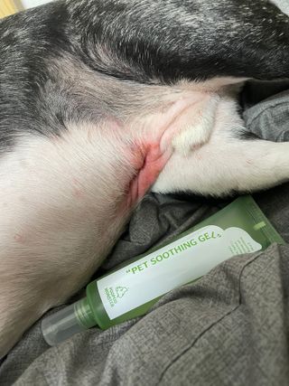 또용님이 올린 리뷰 사진 1