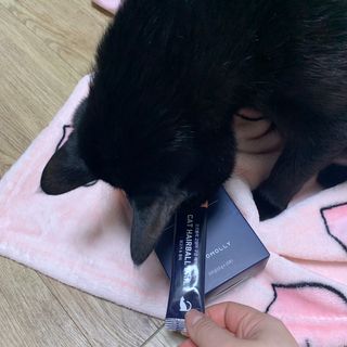 코코몰리 고양이 구강• 헤어볼 데일리 /신장• 요로 데일리 — 5점을 준 리뷰어가 2021년 1월 올린 사용 사진