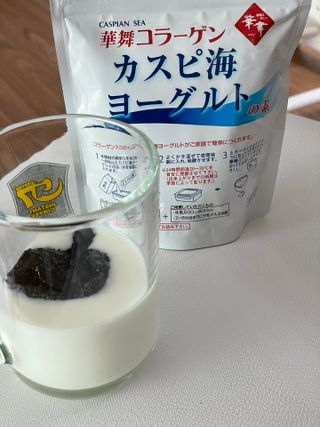 하나마이 [BEST 판매율 1위] 카스피해 유산균 종균_발효기가 필요없이 간편하게 만들어 먹는 요거트 생유산균 — 5점을 준 리뷰어가 2023년 3월 올린 사용 사진