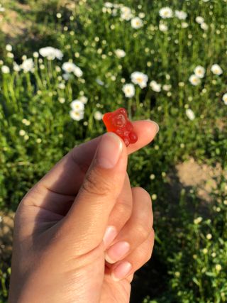 SunAChung님이 올린 리뷰 사진 3