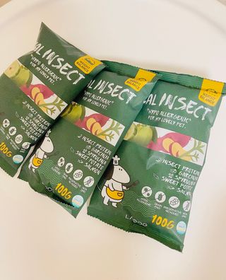 [푸디웜] 라포그  리얼인섹트 웨이트밸런스 저알러지 강아지 사료  1.2KG — 4.5점을 준 리뷰어가 2021년 7월 올린 사용 사진