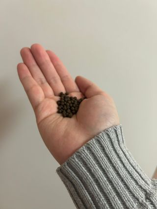 러브지니님이 올린 리뷰 사진 1