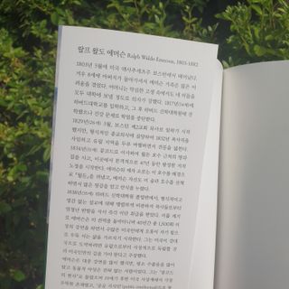 뽀깡님이 올린 리뷰 사진 2