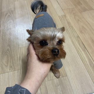 뽀삐맘님이 올린 리뷰 사진 3