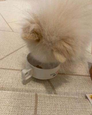 리디아은서님이 올린 리뷰 사진 2