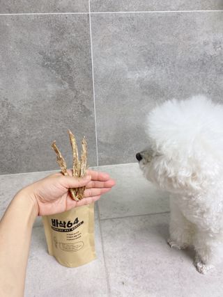 [보헤리] 국내산 강아지 육포간식 바삭 64 2종 — 5점을 준 리뷰어가 2022년 3월 올린 사용 사진