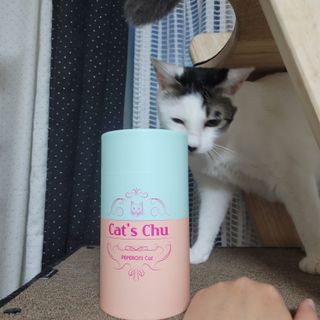 페페로니 잘 먹는 캣츄 - 무항생제 닭고기 12개 + 알래스카 연어 12개 — 5점을 준 리뷰어가 2021년 8월 올린 사용 사진