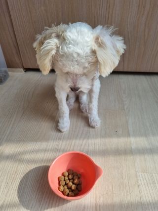 귀요미쫑님이 올린 리뷰 사진 3