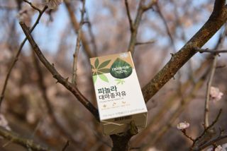 마크곽님이 올린 리뷰 사진 2