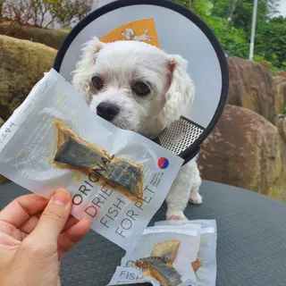여늬님이 올린 리뷰 사진 1