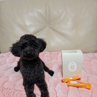 요둘님이 올린 리뷰 사진 1