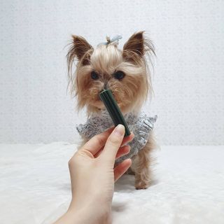 솜희님이 올린 리뷰 사진 2