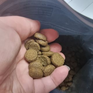 파비올라님이 올린 리뷰 사진 2