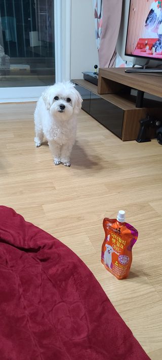 삐랭이님이 올린 리뷰 사진 2