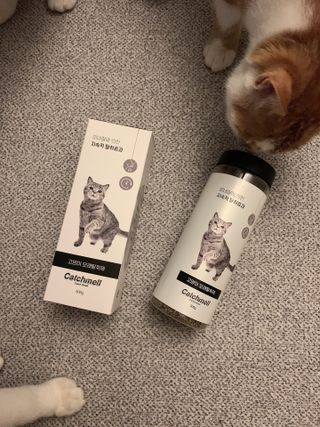 오둥이맘님이 올린 리뷰 사진 4