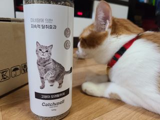 순모님이 올린 리뷰 사진 3